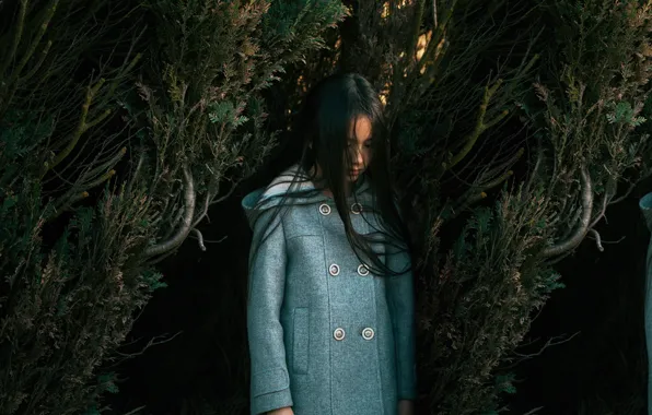 Picture trees, mood, girl