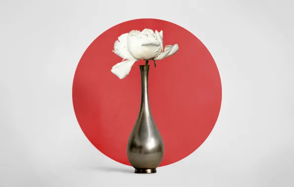 Japan, minimalism, Japan, still life, flower, vase with flowers, peony, peony