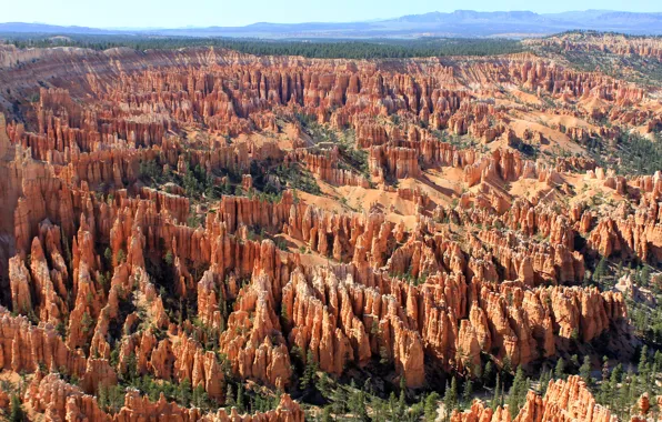 Picture red, USA, Utah, coniferous trees, Bryce canyon, giant natural amphitheater, Bryce Canyon, orange and white …