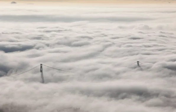Landscape, nature, fog, Lions Gate Bridge