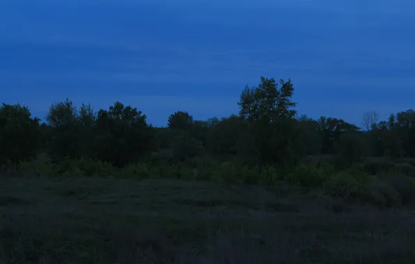 Field, forest, the sky, trees, nature, the evening, twilight, Stan