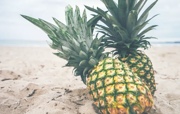 Sand, beach, pineapple