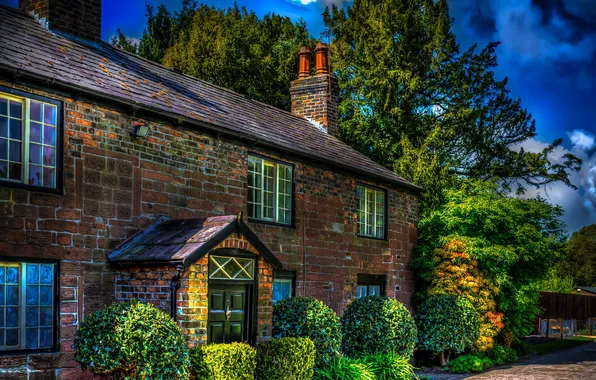 Trees, design, house, England, HDR, treatment, the bushes, Liverpool