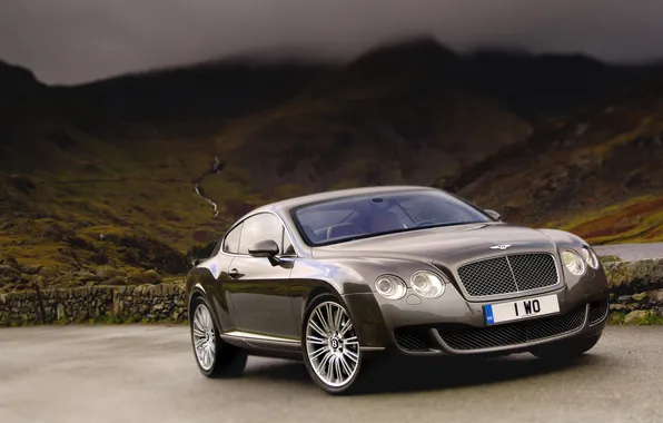 Picture Auto, Bentley, Continental, Mountains, Machine, The hood, Coupe, Suite