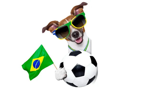 Picture dog, glasses, logo, dog, football, flag, funny, cool