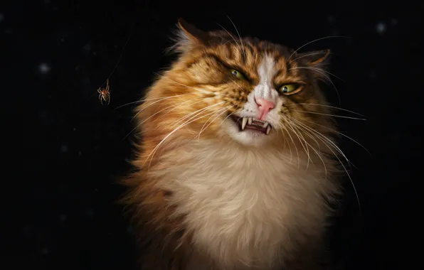 Spider, Cat, Cat, Style, Art, Art, Style, Cat
