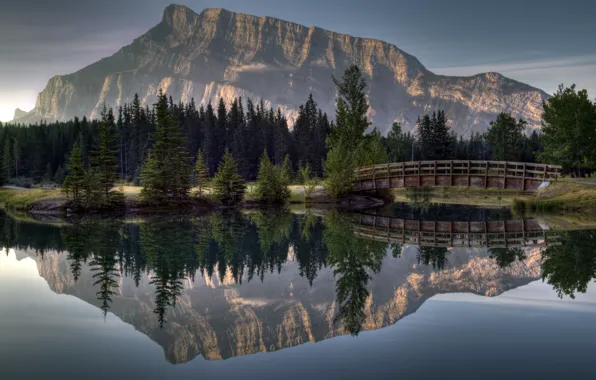 Forest, bridge, reflection, river, mountain