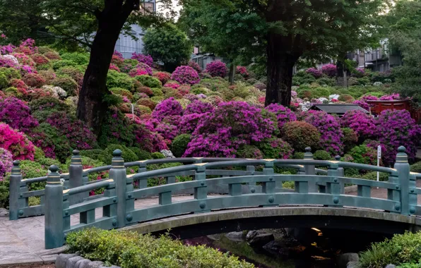 Trees, flowers, bridge, Park, Japan, garden, Japan, Kyoto