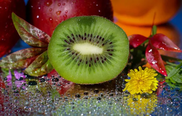 Picture drops, flowers, kiwi, leaves