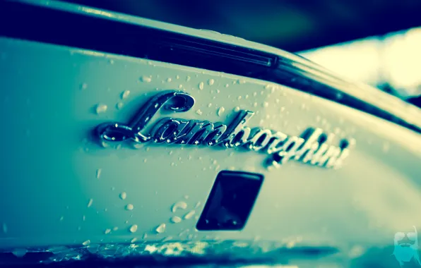Drops, macro, lamborghini, Lamborghini