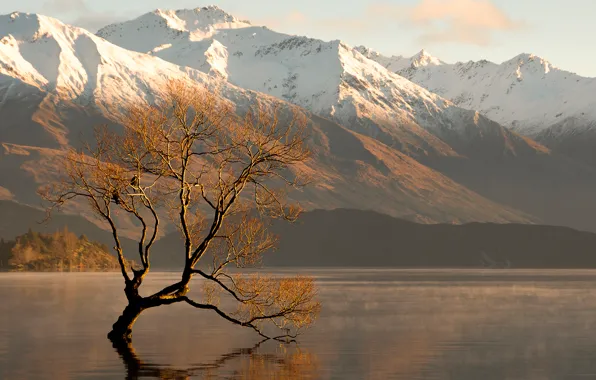 Picture the sky, snow, mountains, lake, tree