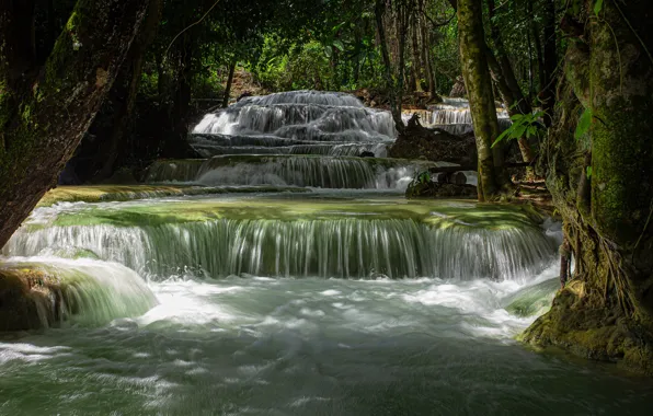 Forest, water, landscape, nature, waterfall, Thailand, mae kae