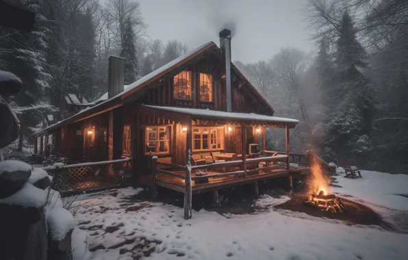 Winter, forest, light, snow, trees, night, nature, comfort
