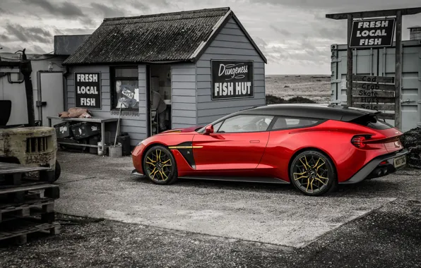 Aston Martin, Zagato, Vanquish, Shooting Brake
