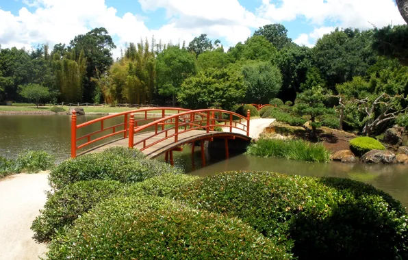 Picture trees, bridge, pond, Park, Australia, Japenese Garden, Toowoomba