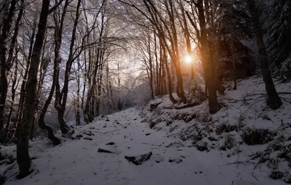 Winter, the sun, snow, trees, sunset, mountains, Bulgaria, Sofia