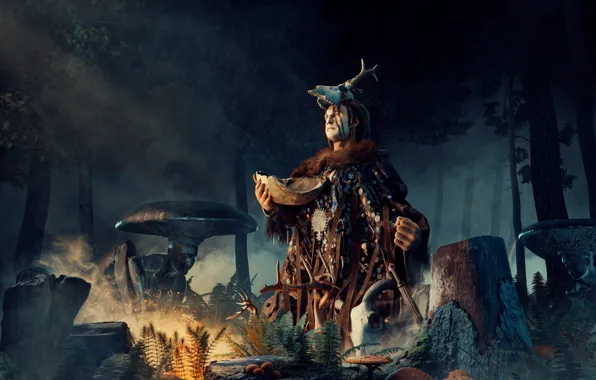 Forest, night, the sorcerer, shaman, Amanita Muscaria