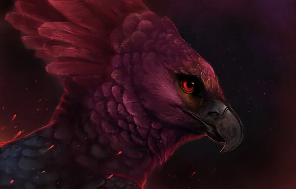Bird, feathers, beak, art, rajewel