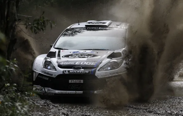 White, squirt, Ford, dirt, Ford, WRC, the front, Rally