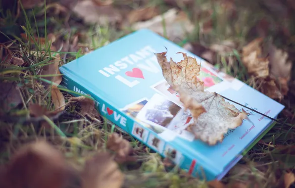 Picture grass, sheet, leaf, book, maple, cover