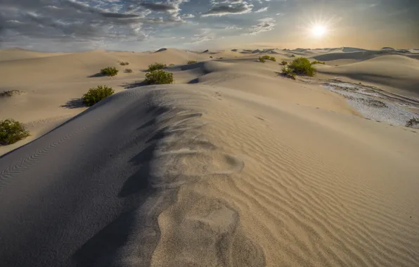 Sand, nature, desert, dunes, California, Death Valley, Dunes