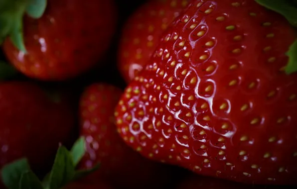 Macro, close-up, berries, the dark background, strawberry, a lot, Victoria, ripe