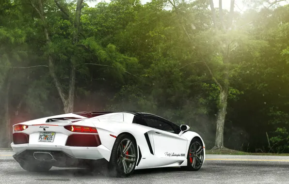 White, supercar, Lamborghini, lamborghini aventador