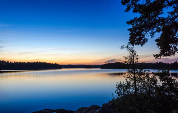 Picture trees, nature, lake, the evening, Nature, trees, lake, evening