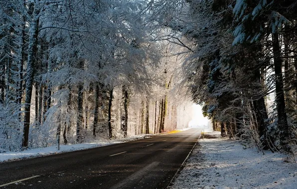 Winter, road, forest, asphalt, snow, trees, landscape, nature