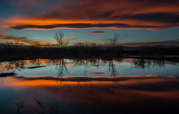The sky, water, reflection, trees, clouds, nature, lake, the evening