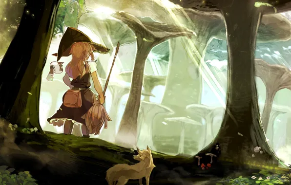 Forest, witch, broom, touhou, kirisame marisa, flying crap back