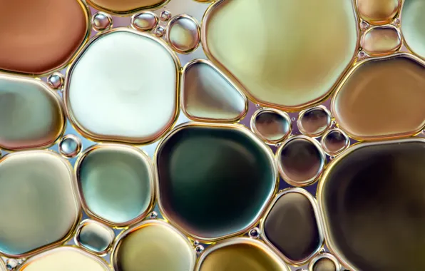Water, macro, bubbles, oil, oil circles