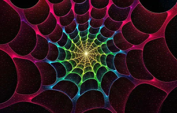 Light, color, web, the tunnel