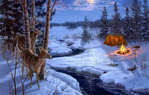 Winter, animals, snow, stream, fire, the moon, spruce, the fire