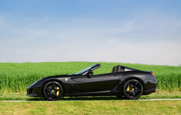 Picture Ferrari, SA Aperta, side view, Ferrari SA Aperta