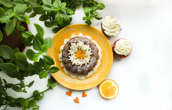 Picture flower, orange, plate, citrus, cinnamon, cake, cream, winter