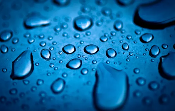 Drops, macro, droplets, background, blue, Wallpaper, black, widescreen