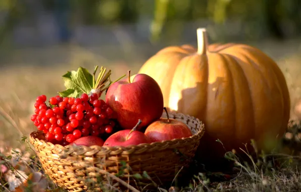 Picture autumn, apples, pumpkin, Kalina