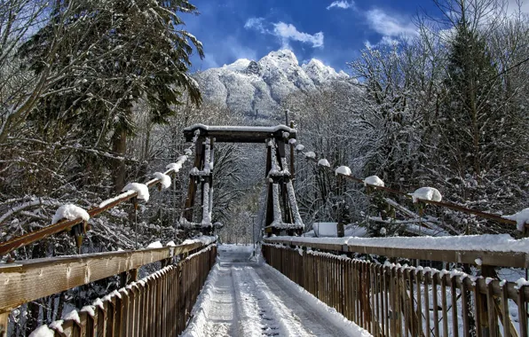Picture winter, snow, landscape, bridge, nature, beauty