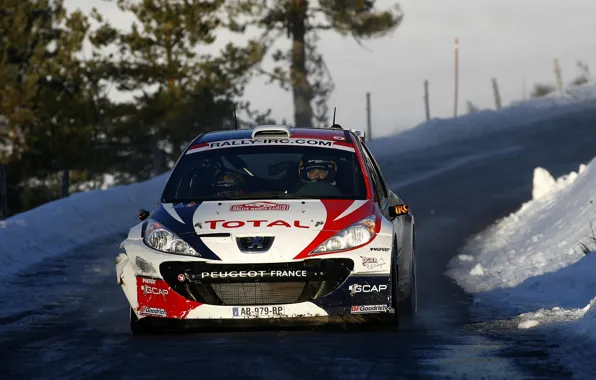 Winter, Machine, Peugeot, Peugeot, WRC, Rally, Rally, The front