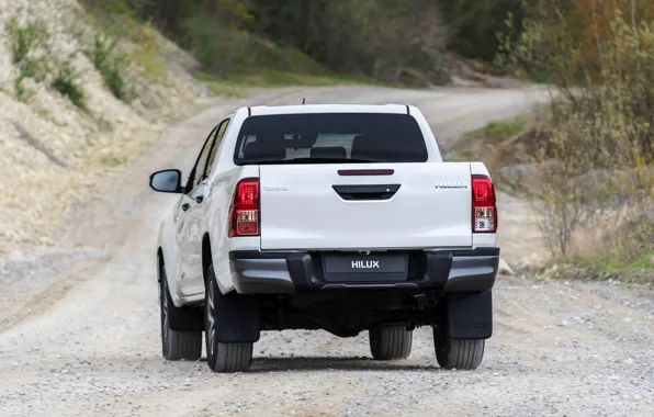 Picture white, Toyota, pickup, Hilux, primer, Special Edition, feed, 2019