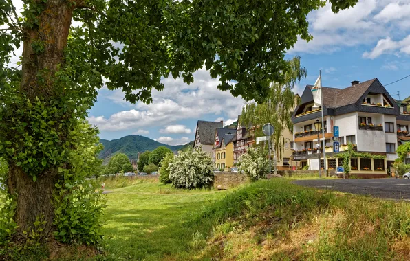 Trees, mountains, nature, home, Germany, town, Ediger-Eller