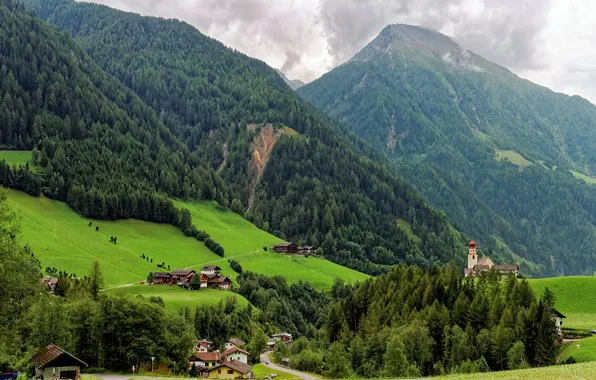 Picture greens, trees, mountains, field, slope, Italy, houses, forest