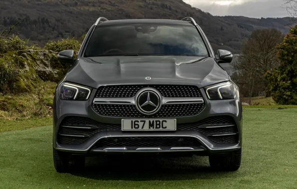 Picture grass, mountains, nature, Mercedes-Benz, space, SUV, AMG, Hybrid