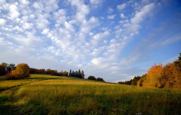 Picture autumn, the sky, clouds, nature, meadow