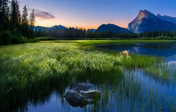 Grass, mountains, shore, pond