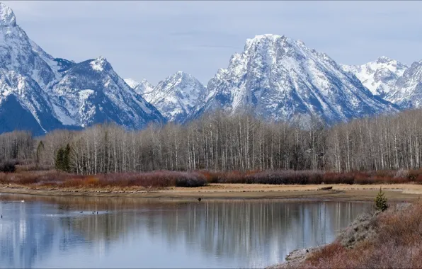 Landscape, nature, beauty