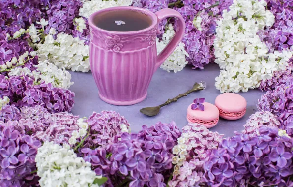Picture flowers, branches, flowers, lilac, cup, spring, purple, tea