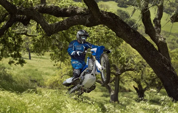 Tree, jump, wheel, racer, Yamaha