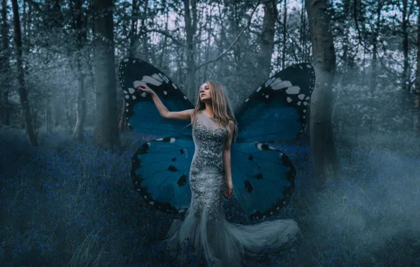 Forest, girl, mood, butterfly, dress, wings